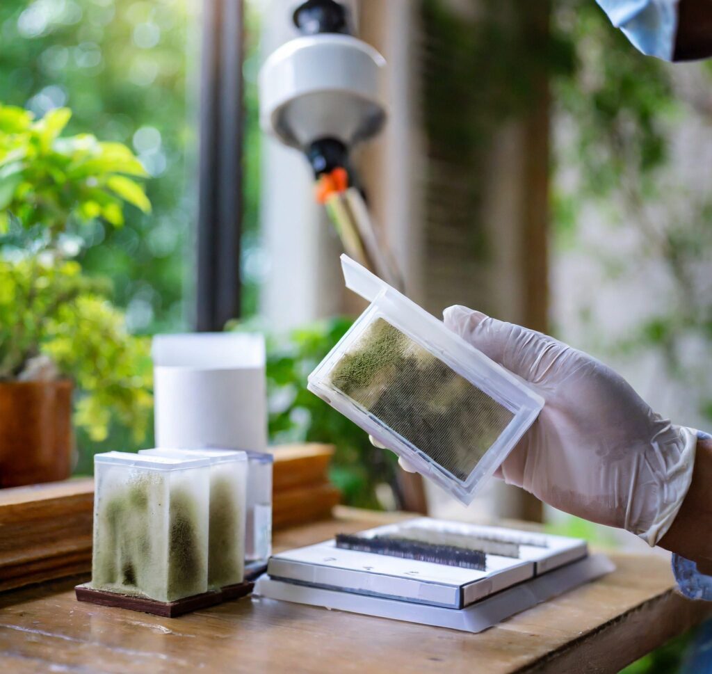 Mould testing cairns