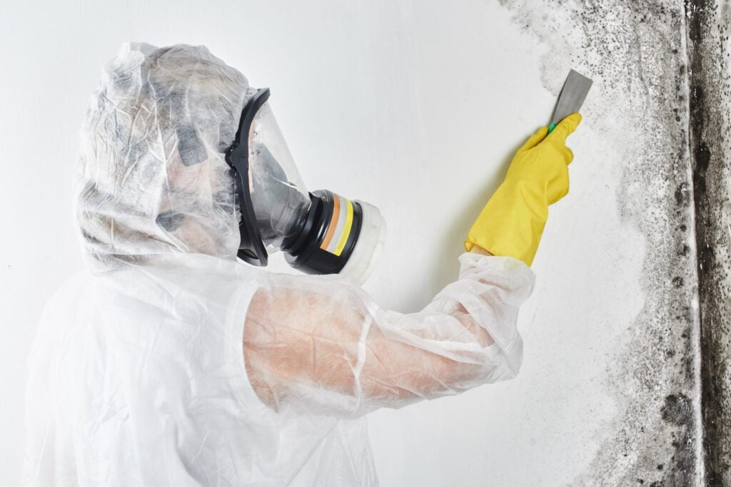 Mould inspection methods